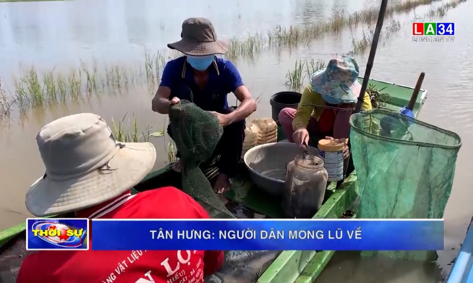 Tân Hưng: Người dân mong lũ về