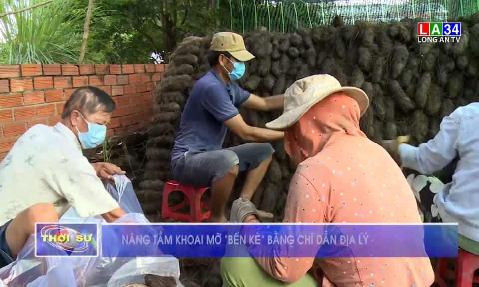 Nâng tầm khoai mỡ &#8220;Bến Kè&#8221; bằng chỉ dẫn địa lý
