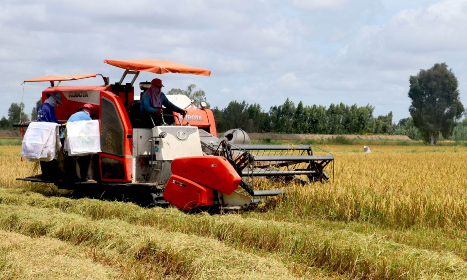 Đẩy mạnh tiêu thụ nông sản qua kênh phân phối thương mại điện tử