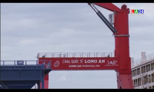 Cảng Long An được xếp vào cảng biển loại một