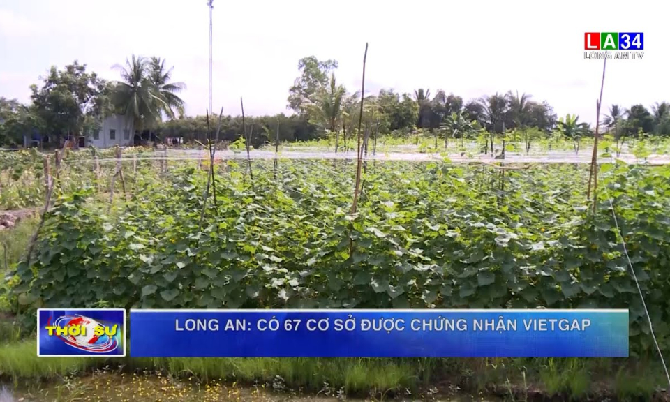 Long An: Có 67 cơ sở được chứng nhận VIETGAP