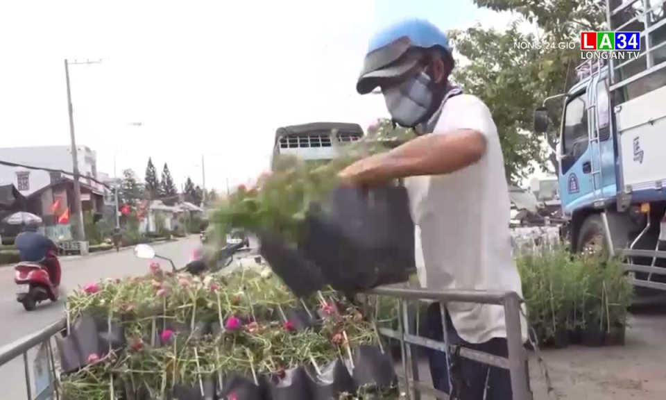Làng hoa Sa Đéc vui mừng vì sức mua tăng mạnh sau dịch