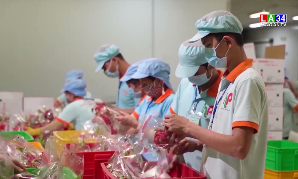 Doanh nghiệp Long An nỗ lực giữ chân người lao động