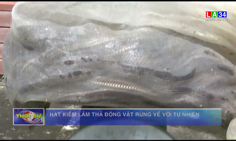 Hạt kiếm lâm thả động vật rừng về với tự nhiên