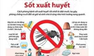 Chủ động phòng chống sốt xuất huyết