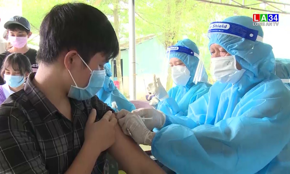 Long An phân bổ vaccine phòng Covid-19 đợt 19 trong cộng đồng