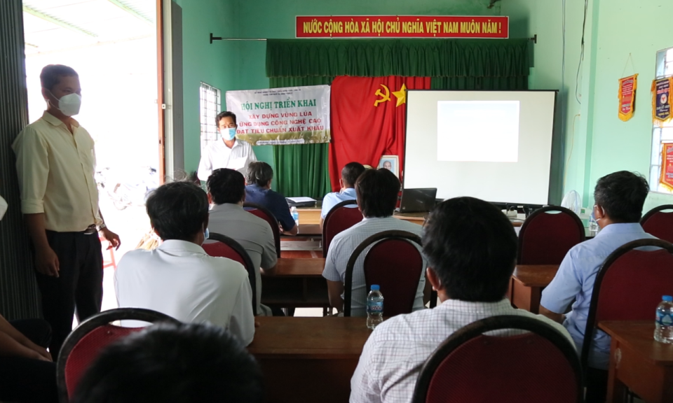 Vĩnh Hưng xây dựng vùng sản xuất lúa ứng dụng công nghệ cao