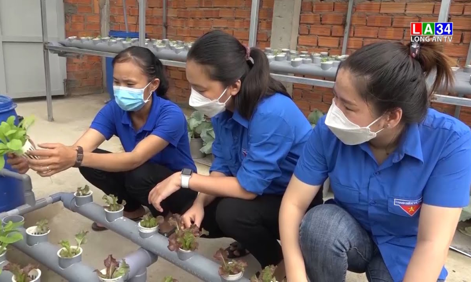 Nữ thanh niên với mô hình khởi nghiệp