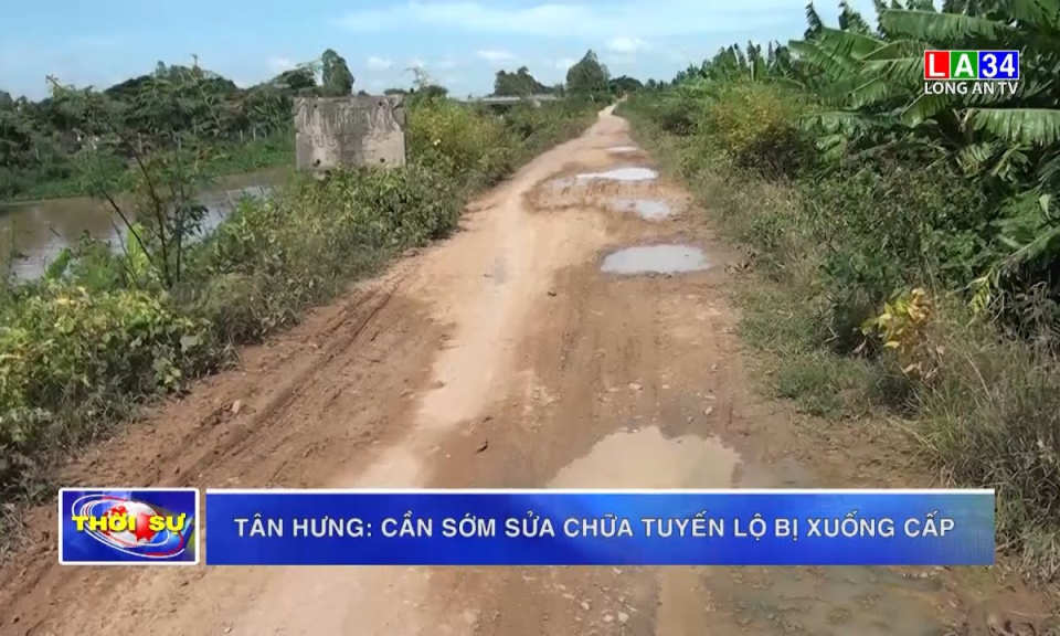 Tân Hưng: Cần sớm sửa chữa tuyến lộ bị xuống cấp