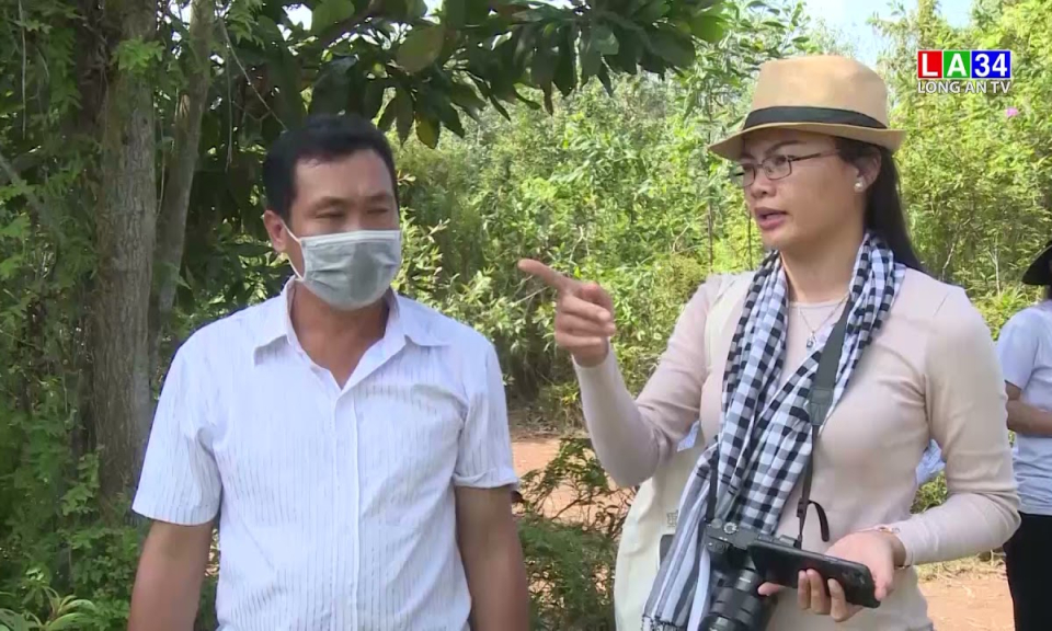 Long An phục hồi ngành “công nghiệp không khói”