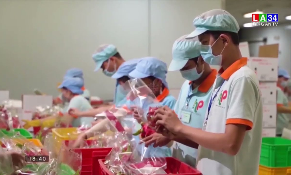 Long An lên phương án đón người lao động từ các tỉnh, thành phố trở lại làm việc