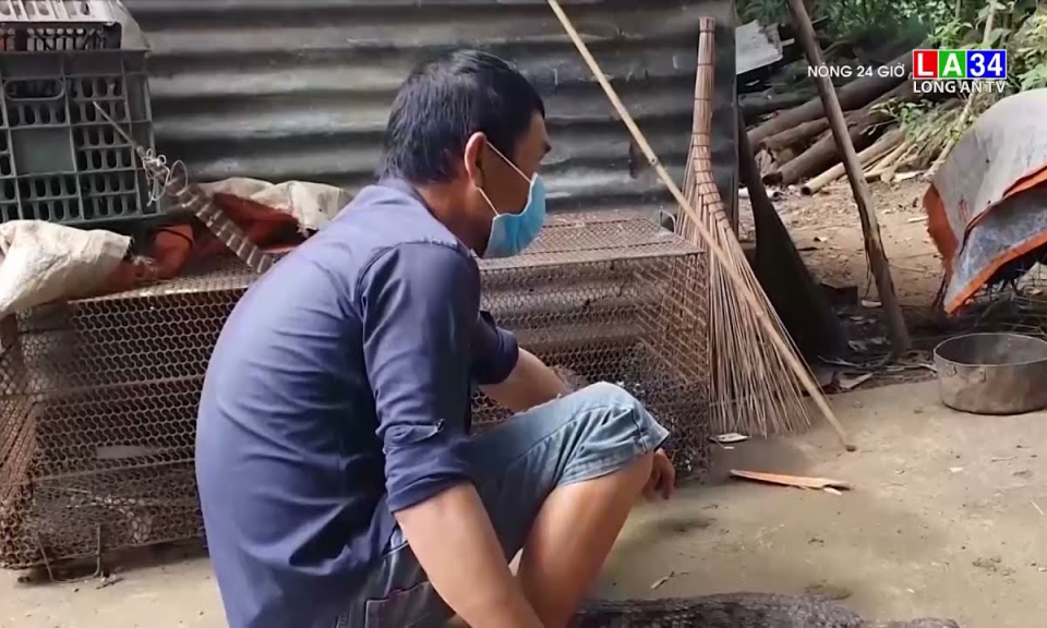 Cá sấu sổng chuồng xuất hiện ở suối, kênh thuỷ lợi