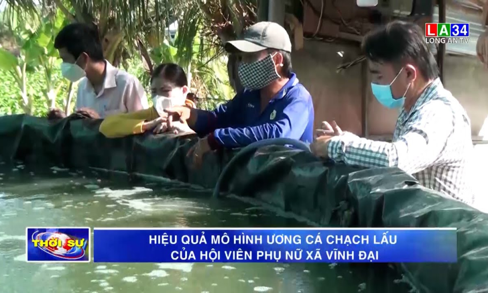 Hiệu quả mô hình ương cá chạch lấu của Hội viên phụ nữ xã Vĩnh Đại