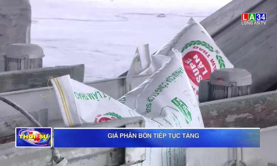 ĐBSCL: Cam soàn, quýt đường giảm giá, giá phân bón tiếp tục tăng
