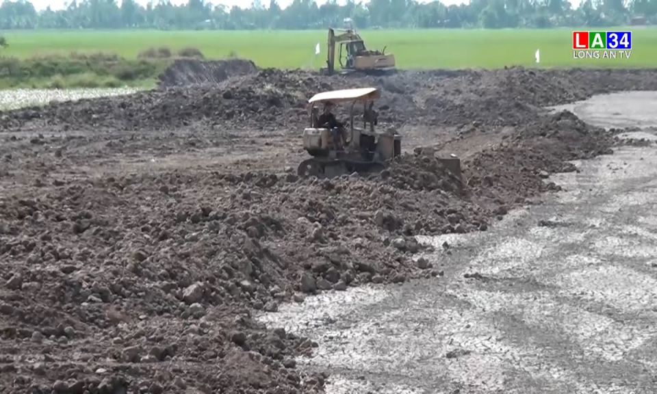 Tân Hưng có gần 500 ha ao nuôi cá tra bột được san lắp