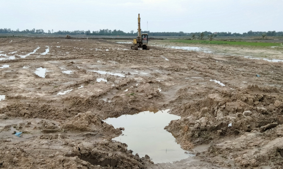 Tân Hưng có gần 500 ha ao nuôi cá tra bột được san lắp