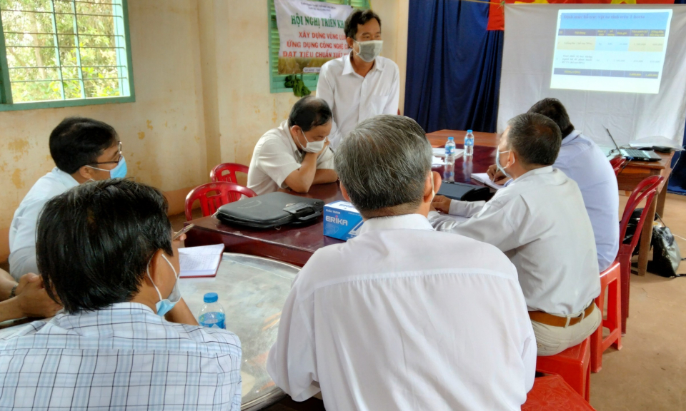 Tỉnh xây dựng vùng sản xuất lúa ƯDCNC tại Tân Hưng