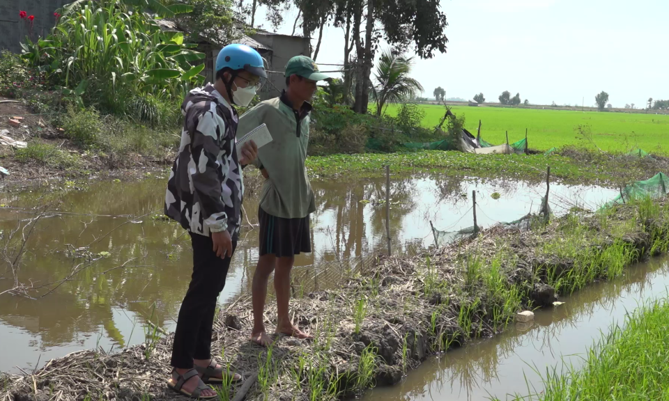 Nông dân Tân Hưng với nỗi lo ngay từ đầu vụ đông xuân