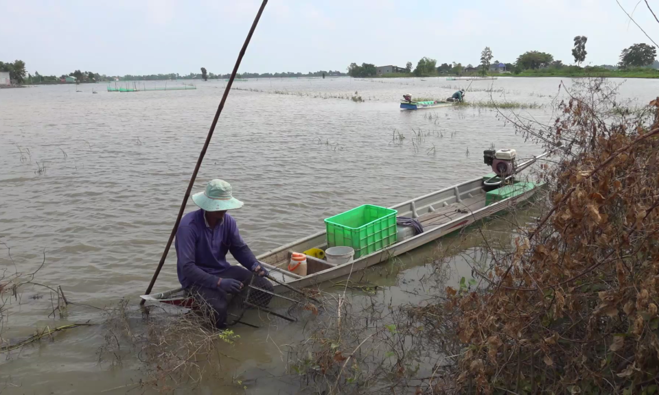Tân Hưng: Nông dân tất bật mưu sinh những ngày cuối lũ