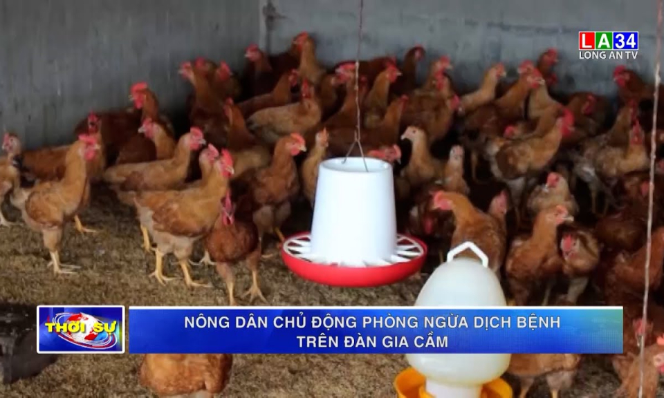 Nông dân chủ động phòng ngừa dịch bệnh trên đàn gia cầm