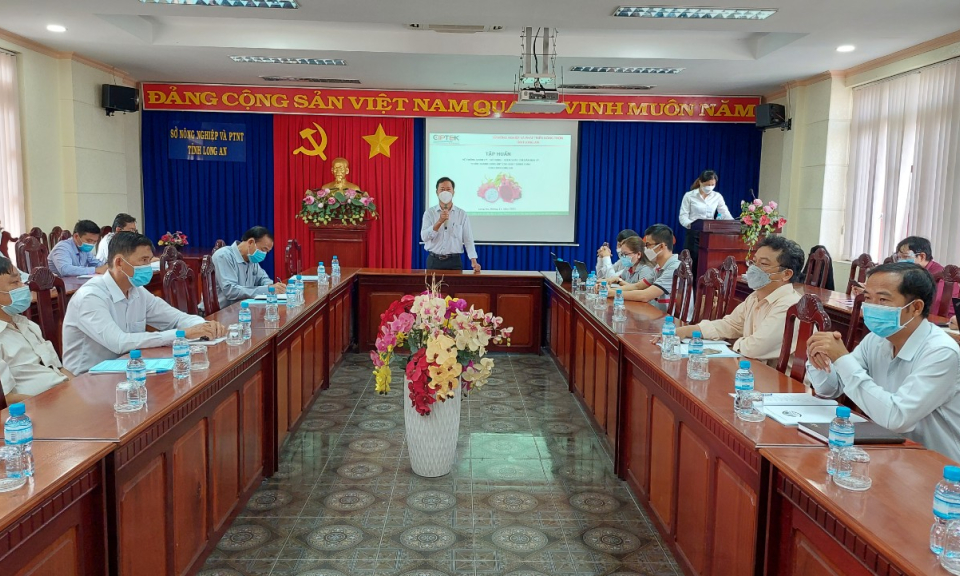 Tập huấn hệ thống quản lý sử dụng, kiểm soát chỉ dẫn địa lý Châu Thành Long An cho cây thanh long