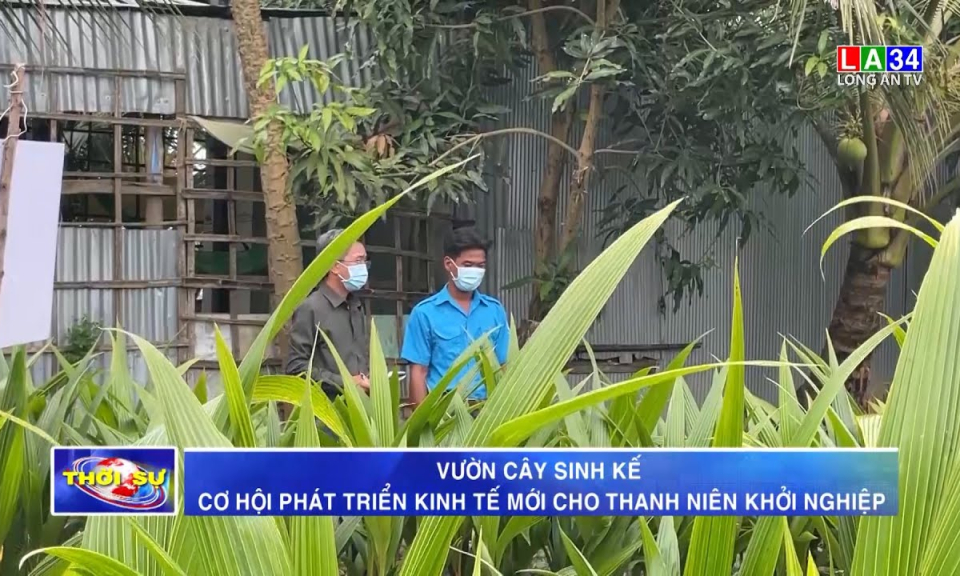 Vườn cây sinh kế &#8211; Cơ hội phát triển kinh tế mới cho thanh niên khởi nghiệp