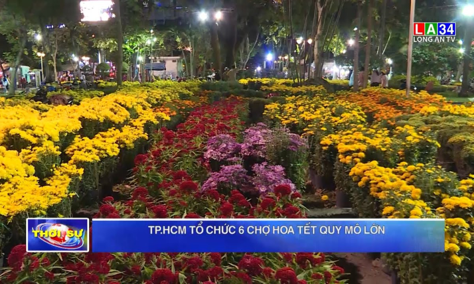 TP.HCM tổ chức 6 chợ hoa Tết quy mô lớn