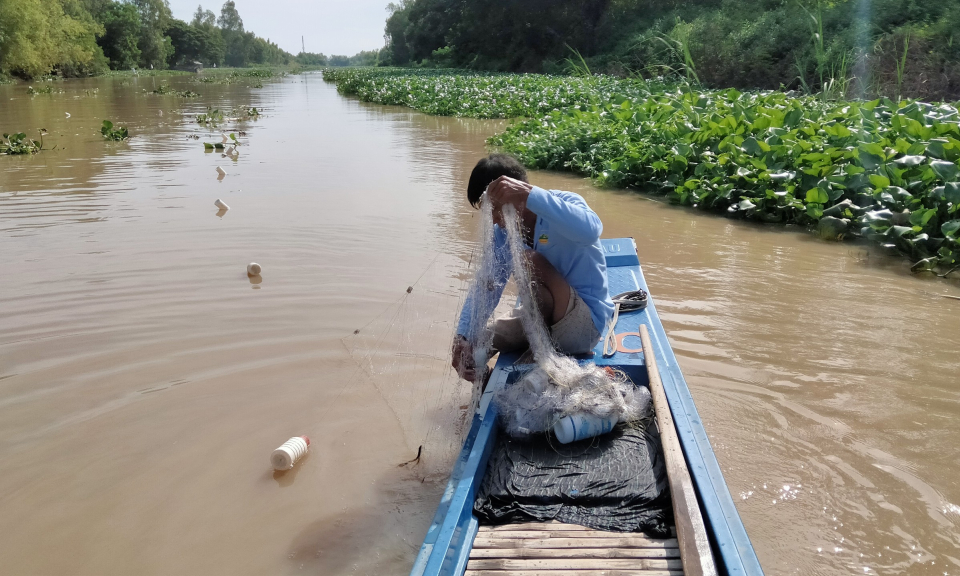 Tân Hưng: Người dân thả lưới bắt cá mè vinh kiếm thêm thu nhập