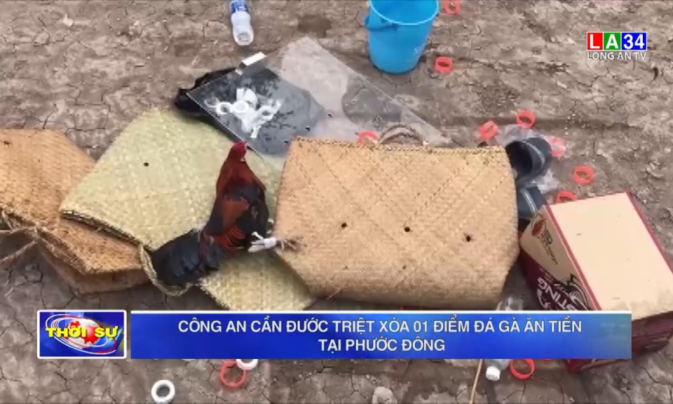 Công an Cần Đước triệt xóa 01 điểm đá gà ăn tiền tại Phước Đông