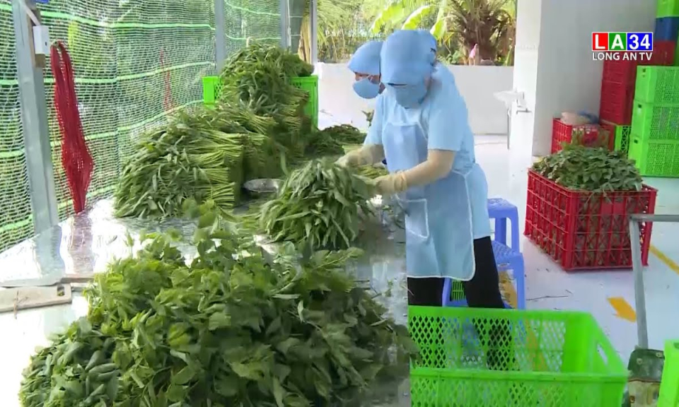 Long An xây dựng thêm 15 chuỗi thực phẩm an toàn