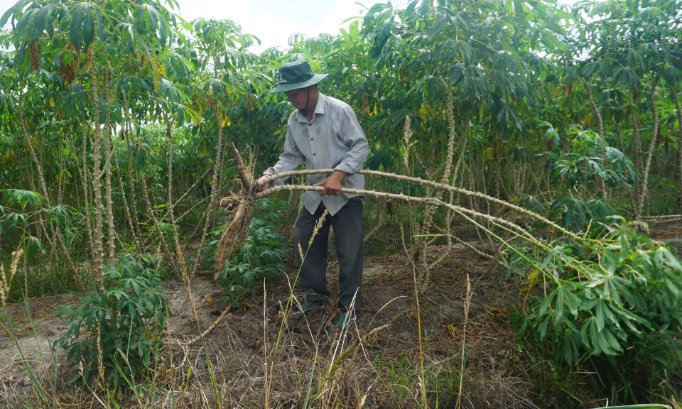 Huyện Bến Lức không còn Cựu chiến binh nghèo