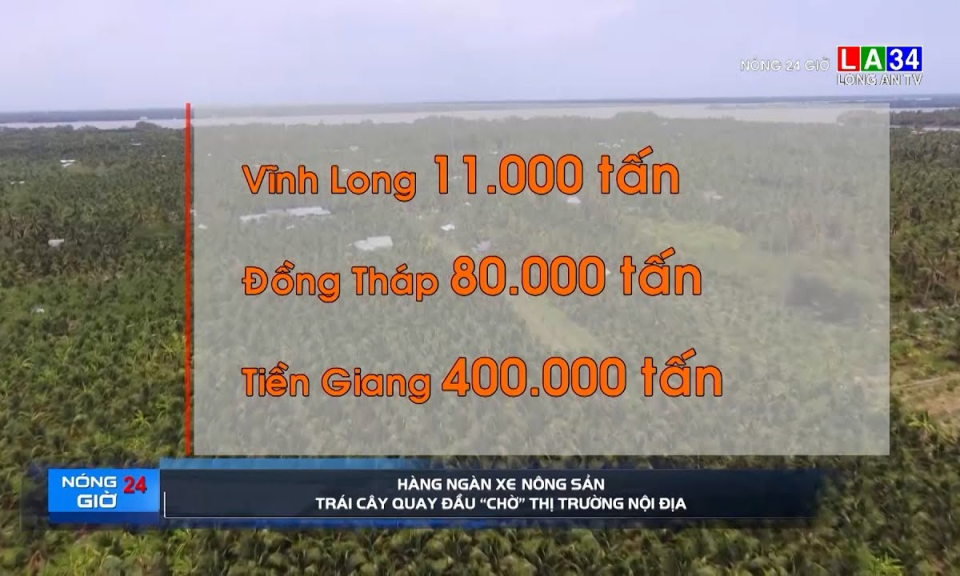 Hàng ngàn xe nông sản trái cây quay đầu &#8220;chờ&#8221; thị trường nội địa