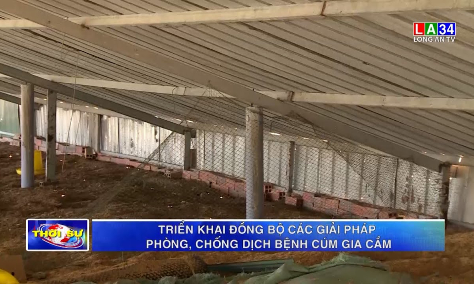 Triển khai đồng bộ các giải pháp phòng, chống dịch bệnh cúm gia cầm