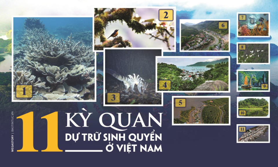 11 Kỳ quan dự trữ sinh quyển ở Việt Nam