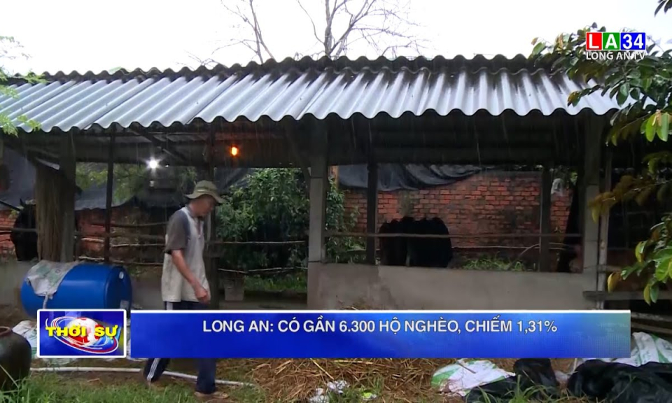 Long An: có gần 6.300 hộ nghèo, chiếm 1,31%