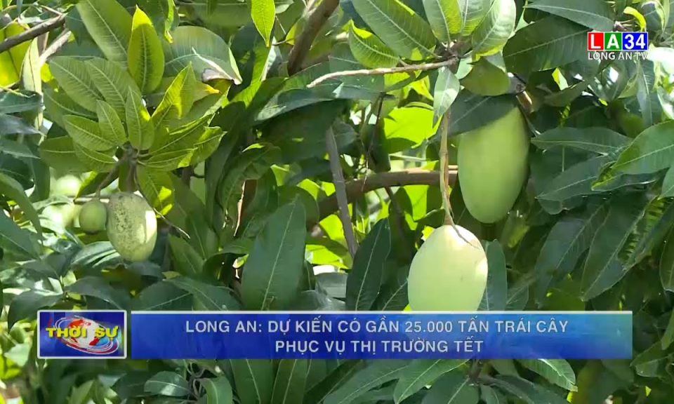 Long An: Dự kiến có gần 25.000 tấn trái cây phục vụ thị trường Tết