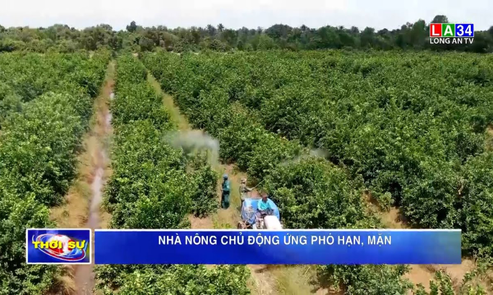 Nhà nông chủ động ứng phó hạn, mặn