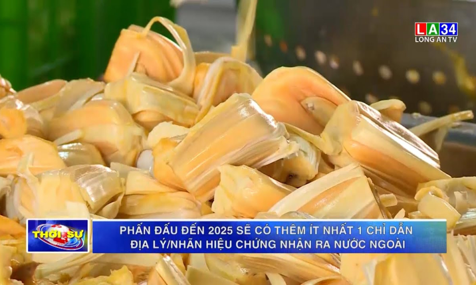 Phấn đấu đến 2025 sẽ có thêm ít nhất 1 chỉ dẫn địa lý/nhãn hiệu chứng nhận ra nước ngoài
