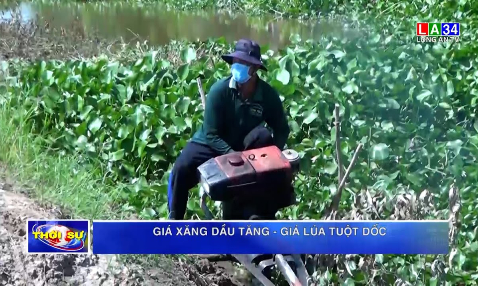 Giá xăng dầu tăng &#8211; Giá lúa tuột dốc
