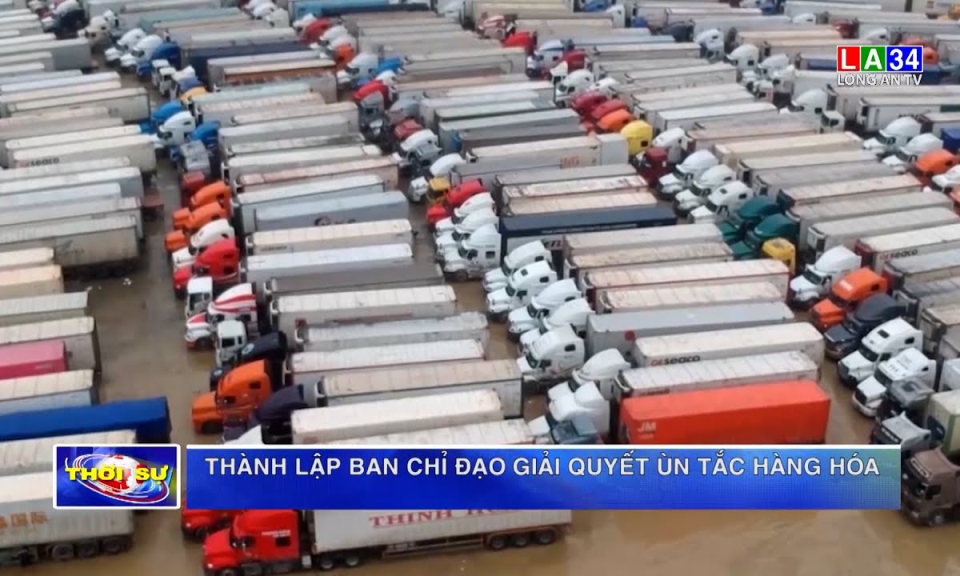 Thành lập Ban chỉ đạo giải quyết ùn tắc hàng hóa