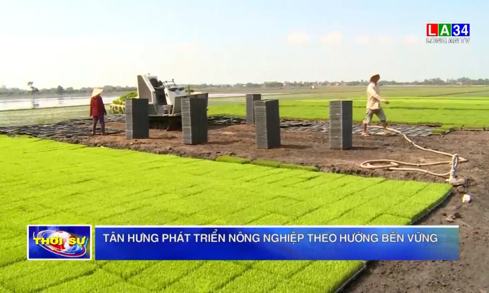Tân Hưng phát triển nông nghiệp theo hướng bền vững