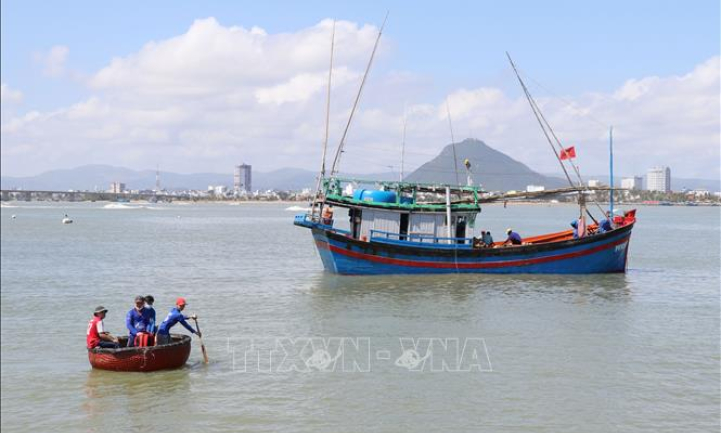 Ngư dân vươn khơi hái lộc biển