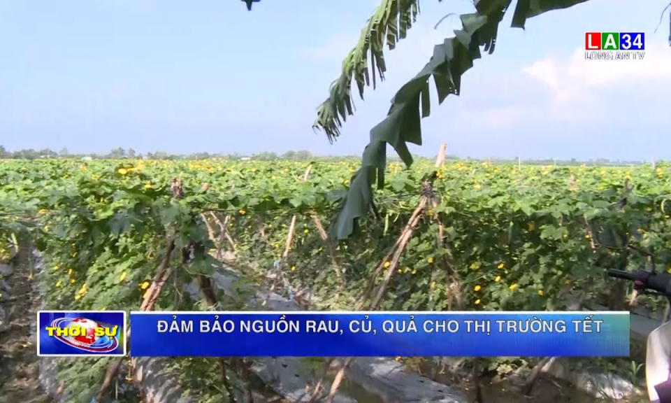 Đảm bảo nguồn rau, củ, quả cho thị trường Tết
