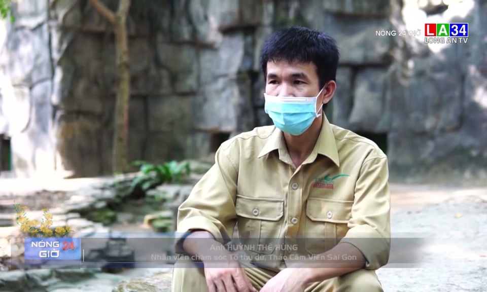 Nhiều giống hổ quý được chăm sóc như &#8220;thú cưng&#8221; ở Thảo Cầm Viên Sài Gòn