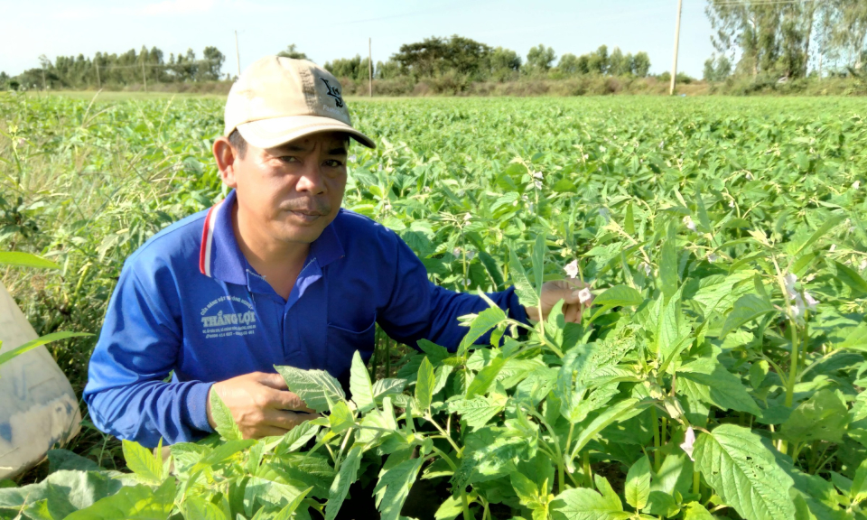 Tân Hưng: Nông dân chủ động thăm đồng trong những ngày đầu năm