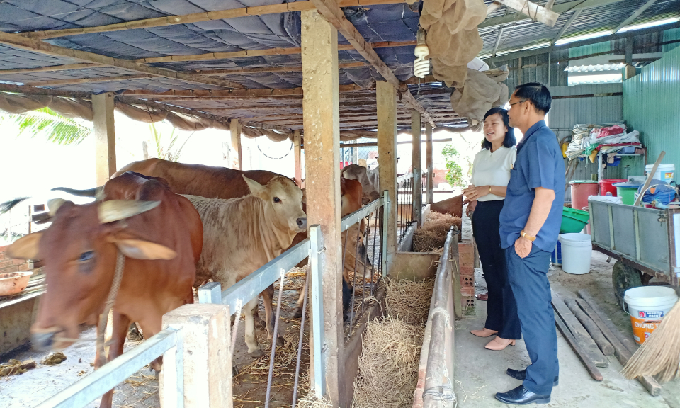 Phòng Nông nghiệp và Phát triển nông thôn huyện Đức Huệ thăm nông dân sau Tết