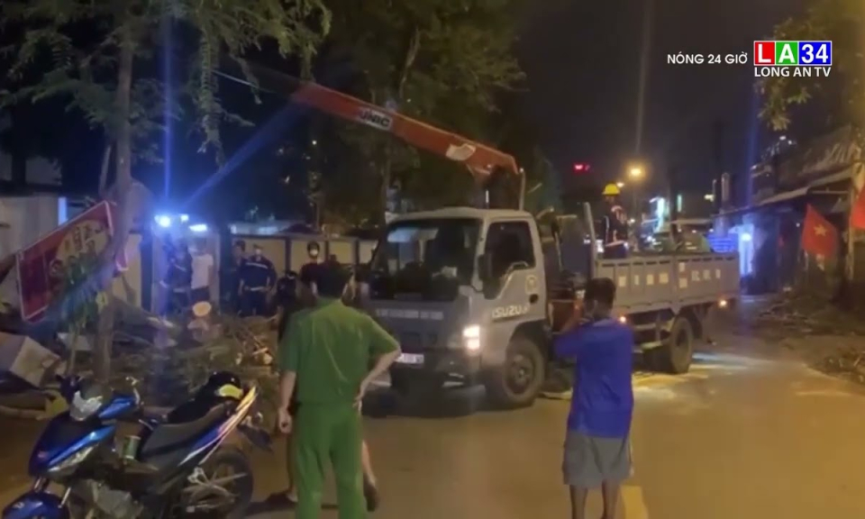 Hãi hùng cây xanh bật gốc đè 2 người bị thương