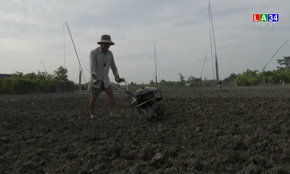 Nông dân tất bật vào vụ mùa sau Tết