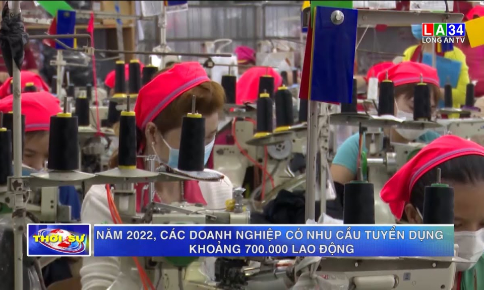 Năm 2022, các doanh nghiệp có nhu cầu tuyển dụng khoảng 700.000 lao động