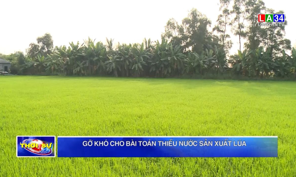 Gỡ khó cho bài toán thiếu nước sản xuất lúa